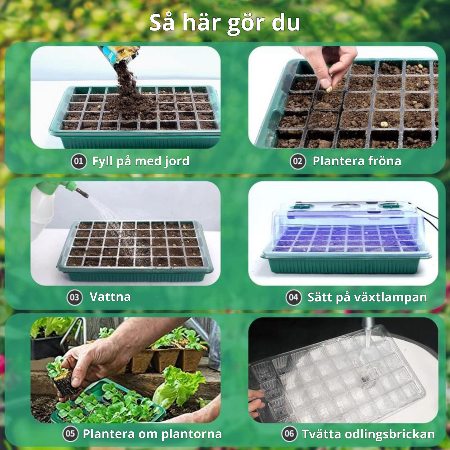 Kitchik LED VĂ€xthus