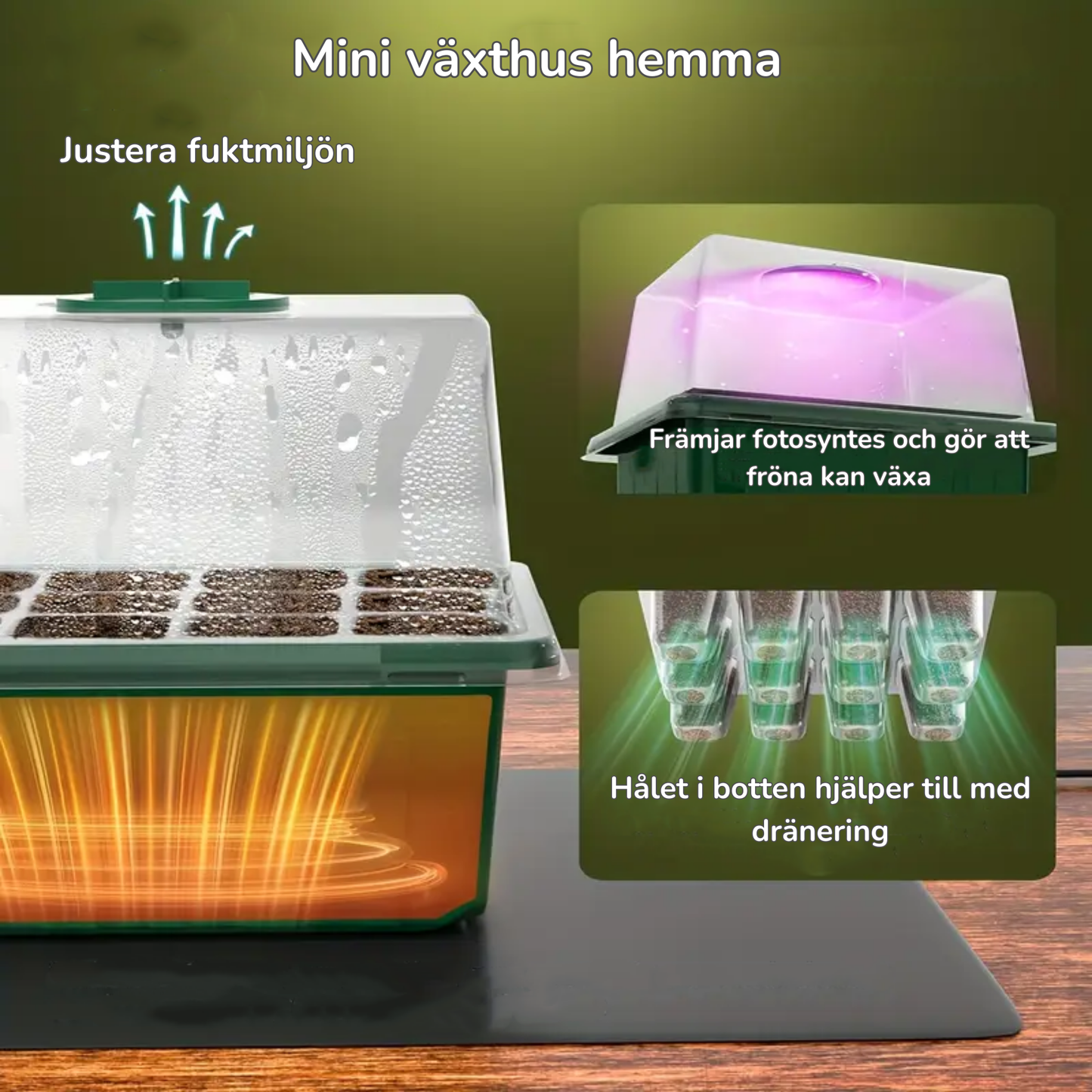Kitchik LED VĂ€xthus