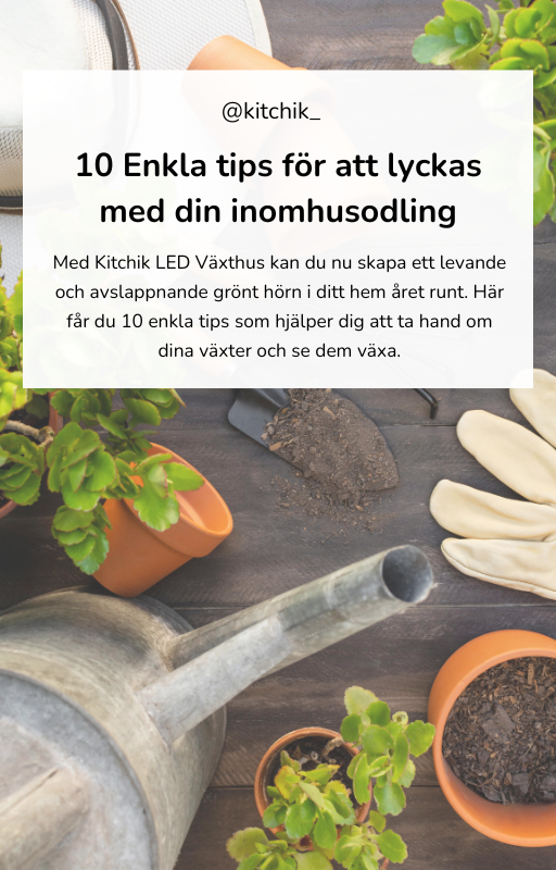 10 enkla tips för att lyckas med din inomhusodling